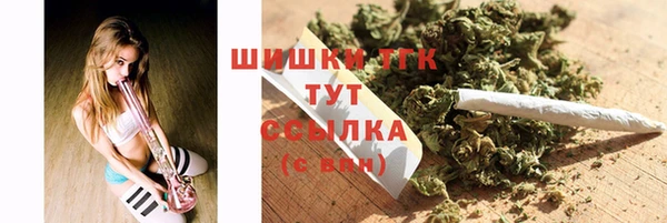дживик Абинск