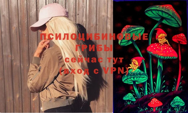 дурь Михайловск
