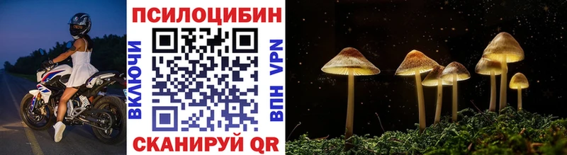 Псилоцибиновые грибы GOLDEN TEACHER  кракен зеркало  Кострома  где найти наркотики 