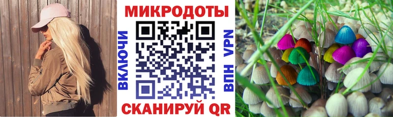 Псилоцибиновые грибы GOLDEN TEACHER Кострома